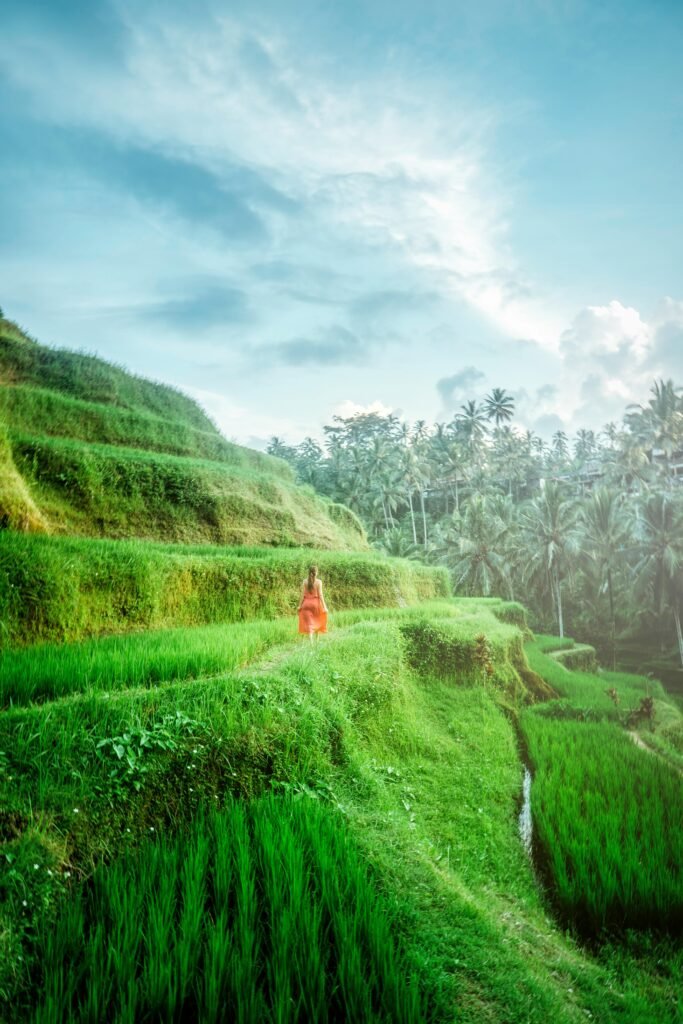 Private Bali Tours